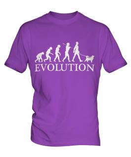 Shiba Inu Evolution Mens T-Shirt