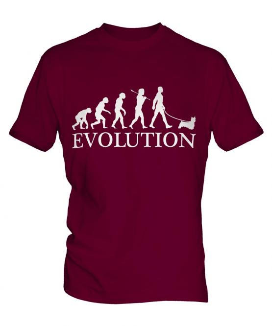 Silky Terrier Evolution Mens T-Shirt