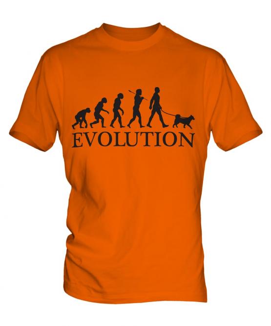 Swedish Vallhund Evolution Mens T-Shirt