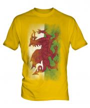 Wales Faded Flag Mens T-Shirt