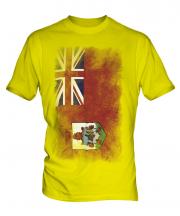 Bermuda Faded Flag Mens T-Shirt