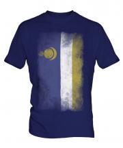Buryatia Faded Flag Mens T-Shirt