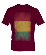 Guinea Faded Flag Mens T-Shirt