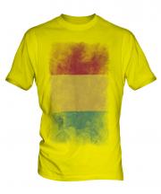 Guinea Faded Flag Mens T-Shirt