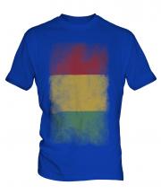 Guinea Faded Flag Mens T-Shirt