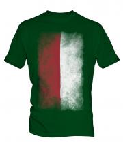 Monaco Faded Flag Mens T-Shirt
