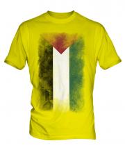 Palestine Faded Flag Mens T-Shirt