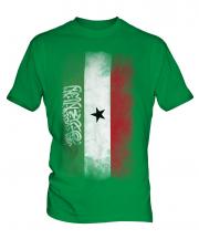 Somaliland Faded Flag Mens T-Shirt