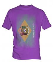 Delaware State Faded Flag Mens T-Shirt