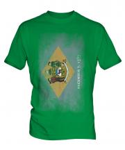 Delaware State Faded Flag Mens T-Shirt