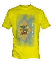 Delaware State Faded Flag Mens T-Shirt