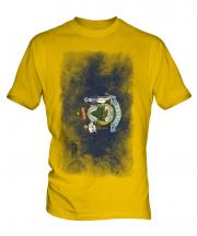 Maine State Faded Flag Mens T-Shirt