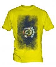 Maine State Faded Flag Mens T-Shirt