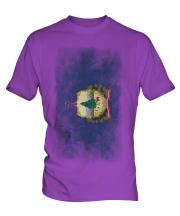Vermont State Faded Flag Mens T-Shirt