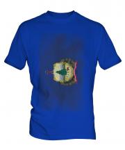 Vermont State Faded Flag Mens T-Shirt