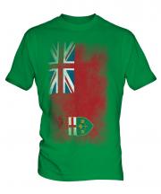 Ontario Faded Flag Mens T-Shirt