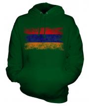 Armenia Distressed Flag Unisex Adult Hoodie