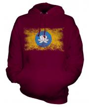 Kalmykia Distressed Flag Unisex Adult Hoodie