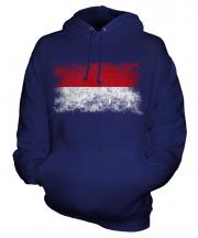 Monaco Distressed Flag Unisex Adult Hoodie