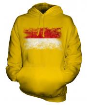Monaco Distressed Flag Unisex Adult Hoodie