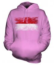 Monaco Distressed Flag Unisex Adult Hoodie