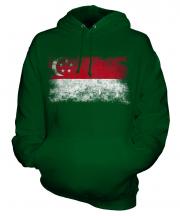 Singapore Distressed Flag Unisex Adult Hoodie