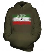 Somaliland Distressed Flag Unisex Adult Hoodie