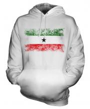 Somaliland Distressed Flag Unisex Adult Hoodie