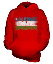 Uzbekistan Distressed Flag Unisex Adult Hoodie