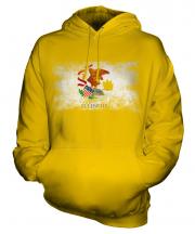Illinois State Distressed Flag Unisex Adult Hoodie