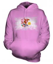 Illinois State Distressed Flag Unisex Adult Hoodie