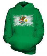 Illinois State Distressed Flag Unisex Adult Hoodie