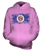 Minnesota State Distressed Flag Unisex Adult Hoodie