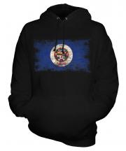 Minnesota State Distressed Flag Unisex Adult Hoodie