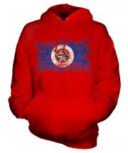 Minnesota State Distressed Flag Unisex Adult Hoodie