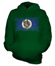 Minnesota State Distressed Flag Unisex Adult Hoodie