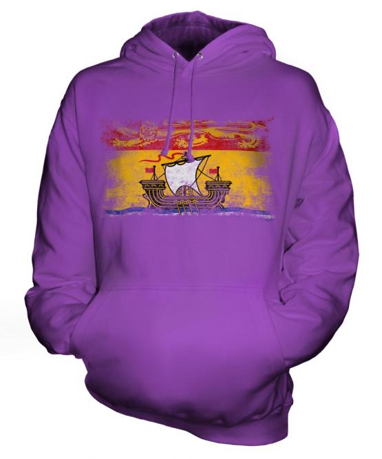 New Brunswick Distressed Flag Unisex Adult Hoodie