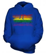 Gay Pride Distressed Flag Unisex Adult Hoodie
