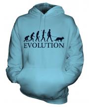 Alsatian Evolution Unisex Adult Hoodie