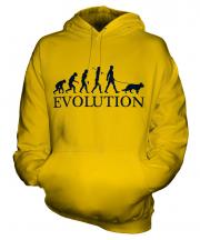 Alsatian Evolution Unisex Adult Hoodie