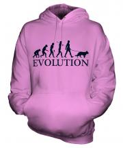 Alsatian Evolution Unisex Adult Hoodie