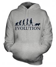 Alsatian Evolution Unisex Adult Hoodie