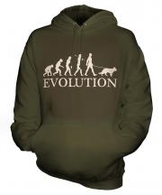 Alsatian Evolution Unisex Adult Hoodie