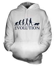 Alsatian Evolution Unisex Adult Hoodie