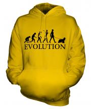 American Cocker Spaniel Evolution Unisex Adult Hoodie