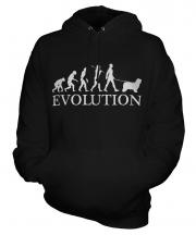 Bearded Collie Evolution Unisex Adult Hoodie