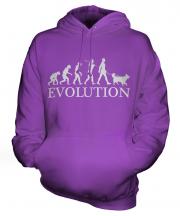 Border Collie Evolution Unisex Adult Hoodie
