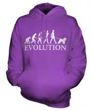 Bouvier Des Flandres Evolution Unisex Adult Hoodie