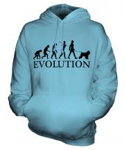 Bouvier Des Flandres Evolution Unisex Adult Hoodie