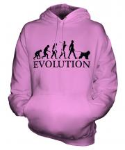 Bouvier Des Flandres Evolution Unisex Adult Hoodie